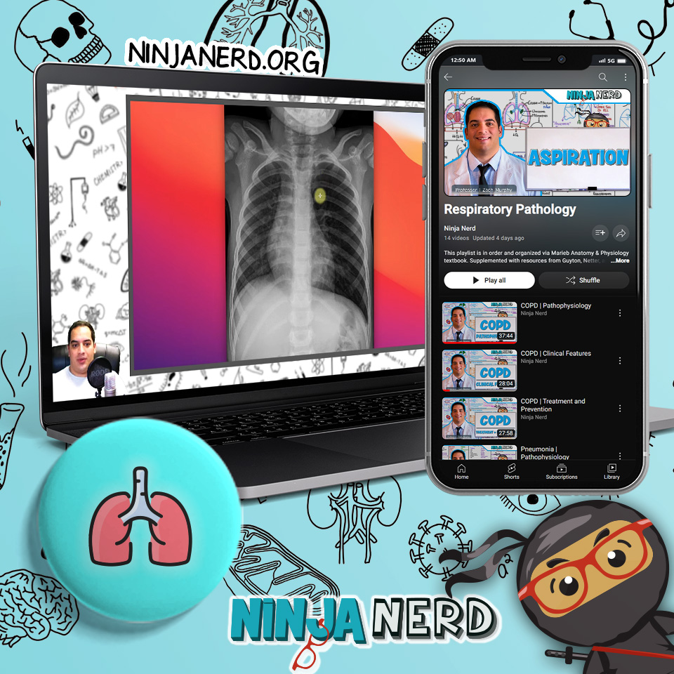 What's New Ninja Nerd